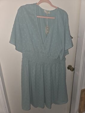 NWT Umgee Seafoam Green Flutter Sleeve Smocked Waist Mini Dress